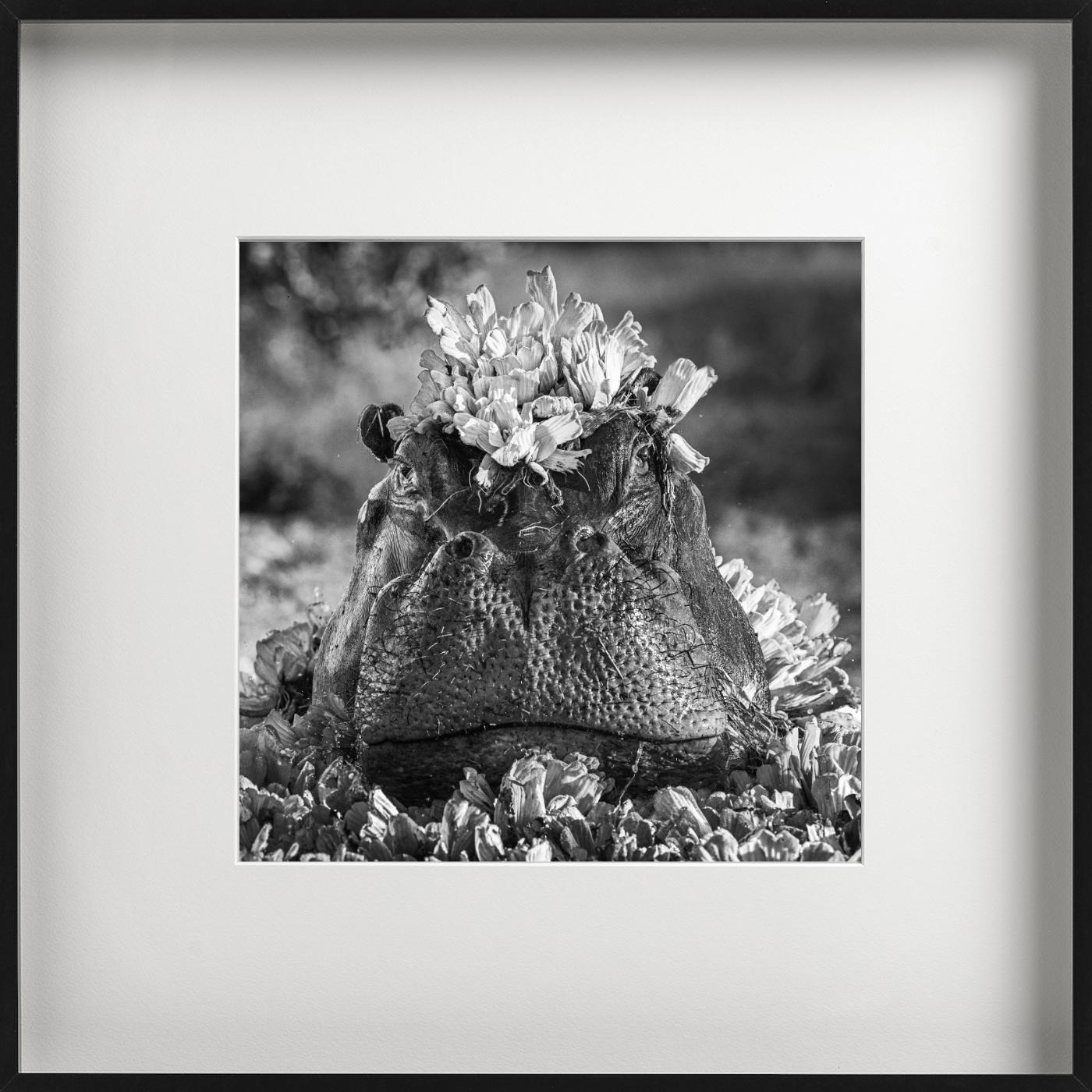 Royal Ascot, Fotografía artística en venta 1