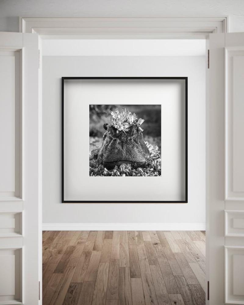 Royal Ascot, Fotografía artística en venta 2