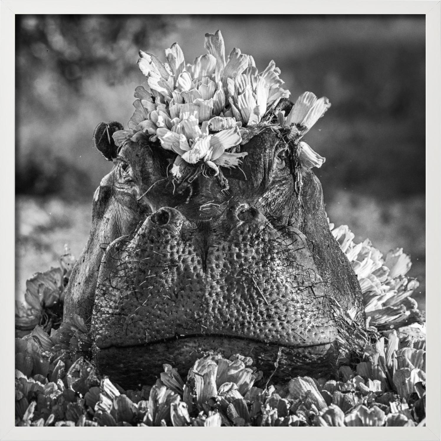 Royal Ascot, Fotografía artística en venta 3