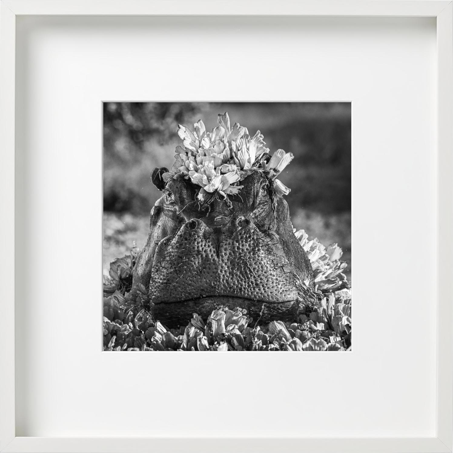 Royal Ascot, Fotografía artística en venta 4