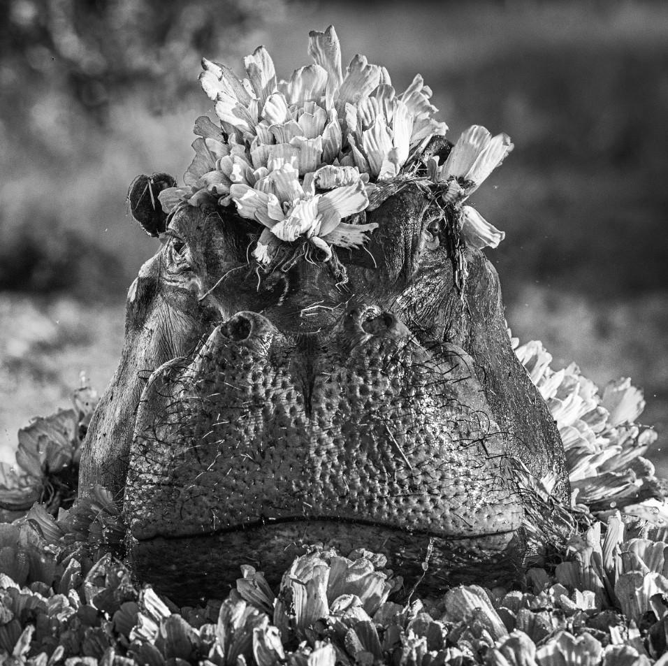 Figurative Photograph de David Yarrow - Royal Ascot, Fotografía artística