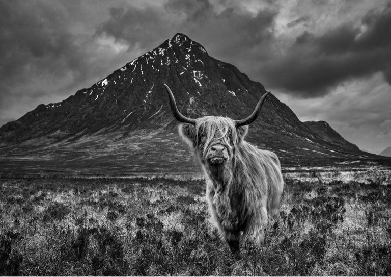David Yarrow Glencoe For Sale at 1stDibs