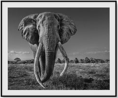 Space for Giants: Contemporary Black and White Photography, Framed