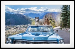 Spring in Aspen (Colour) by David Yarrow - Colorado - 1966 Cadillac