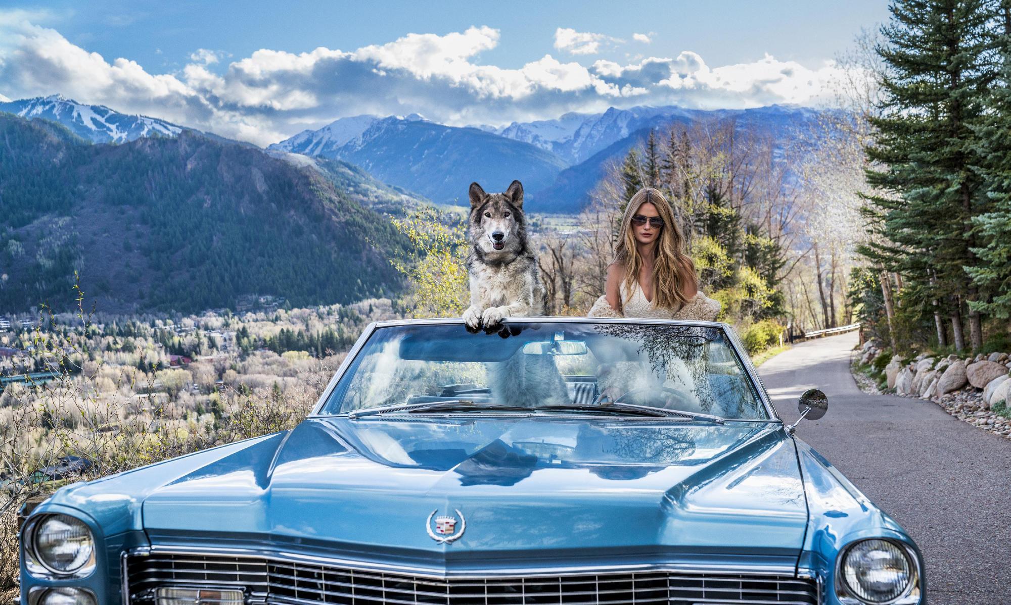 Spring in Aspen (Colour) by David Yarrow - Colorado - 1966 Cadillac