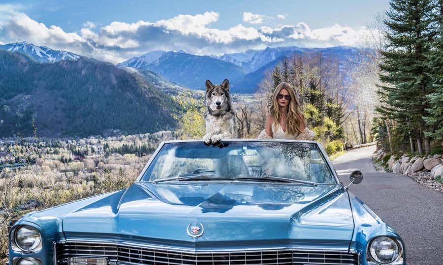 Spring in Aspen (Colour) by David Yarrow - Colorado - 1966 Cadillac