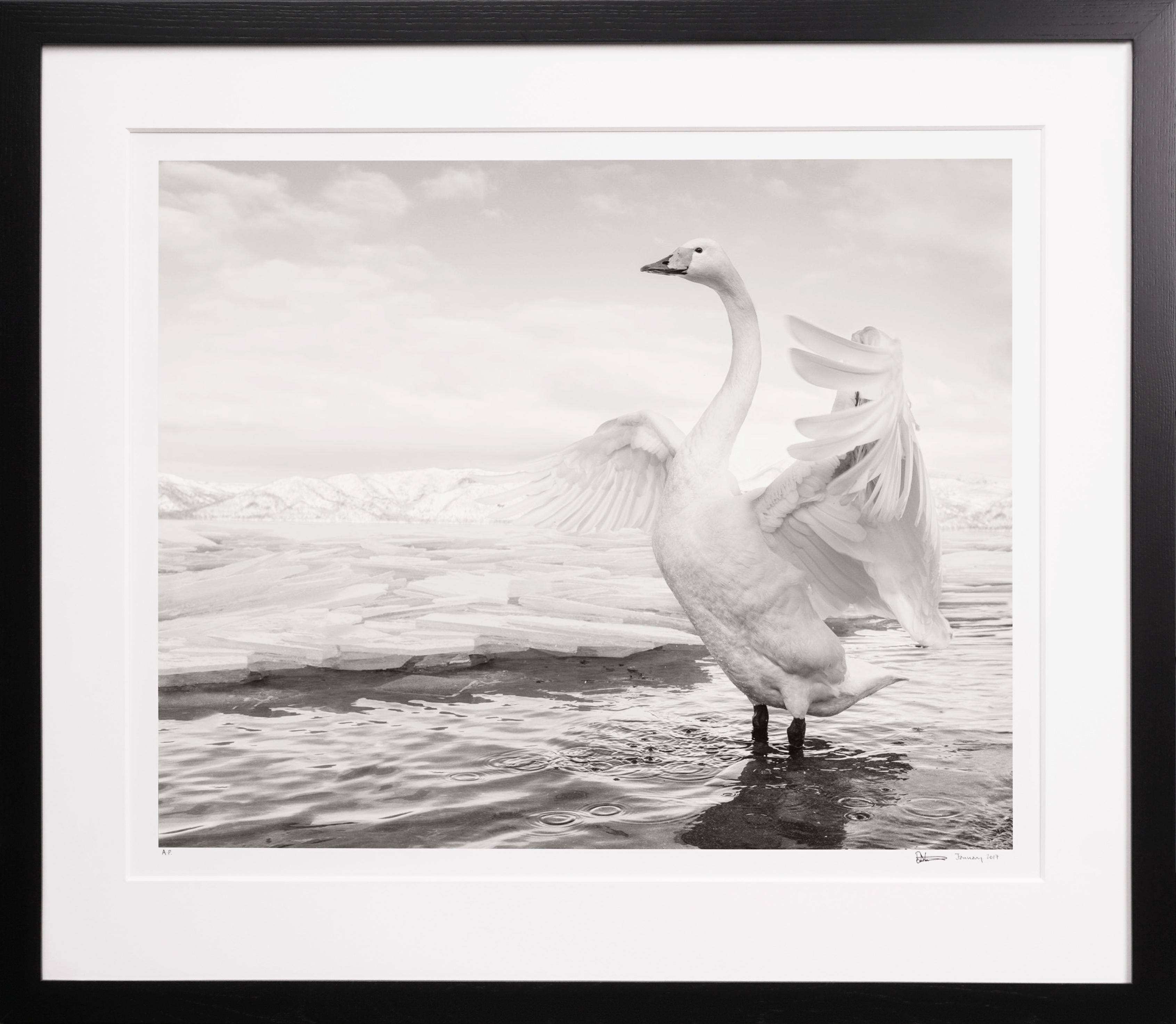 David Yarrow Landscape Photograph - 'Swan Lake' Lake Kussharo in Japan