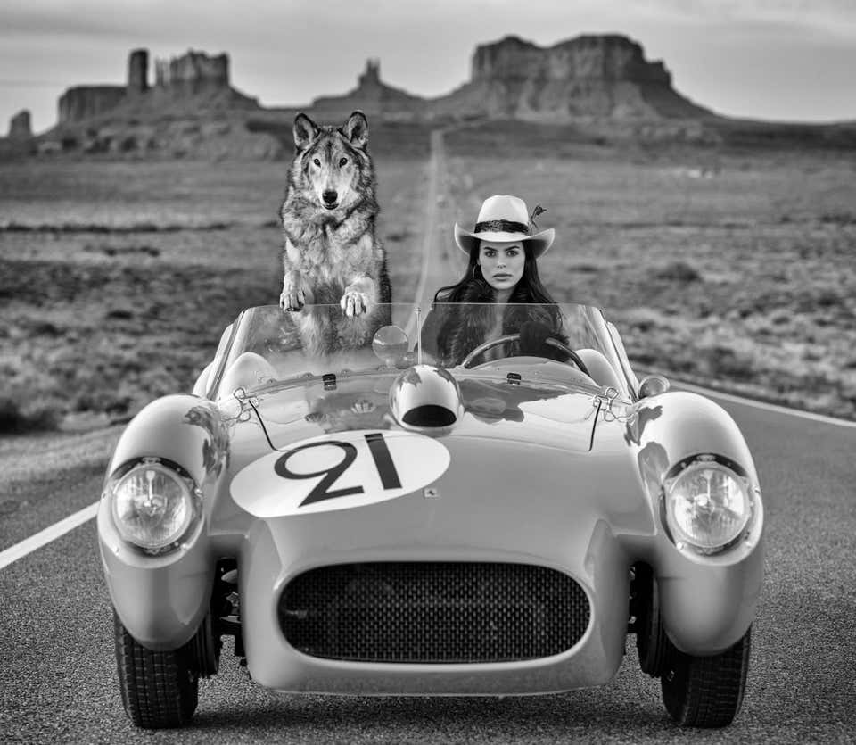 David Yarrow Art 655 For Sale at 1stDibs david yarrow prints, david