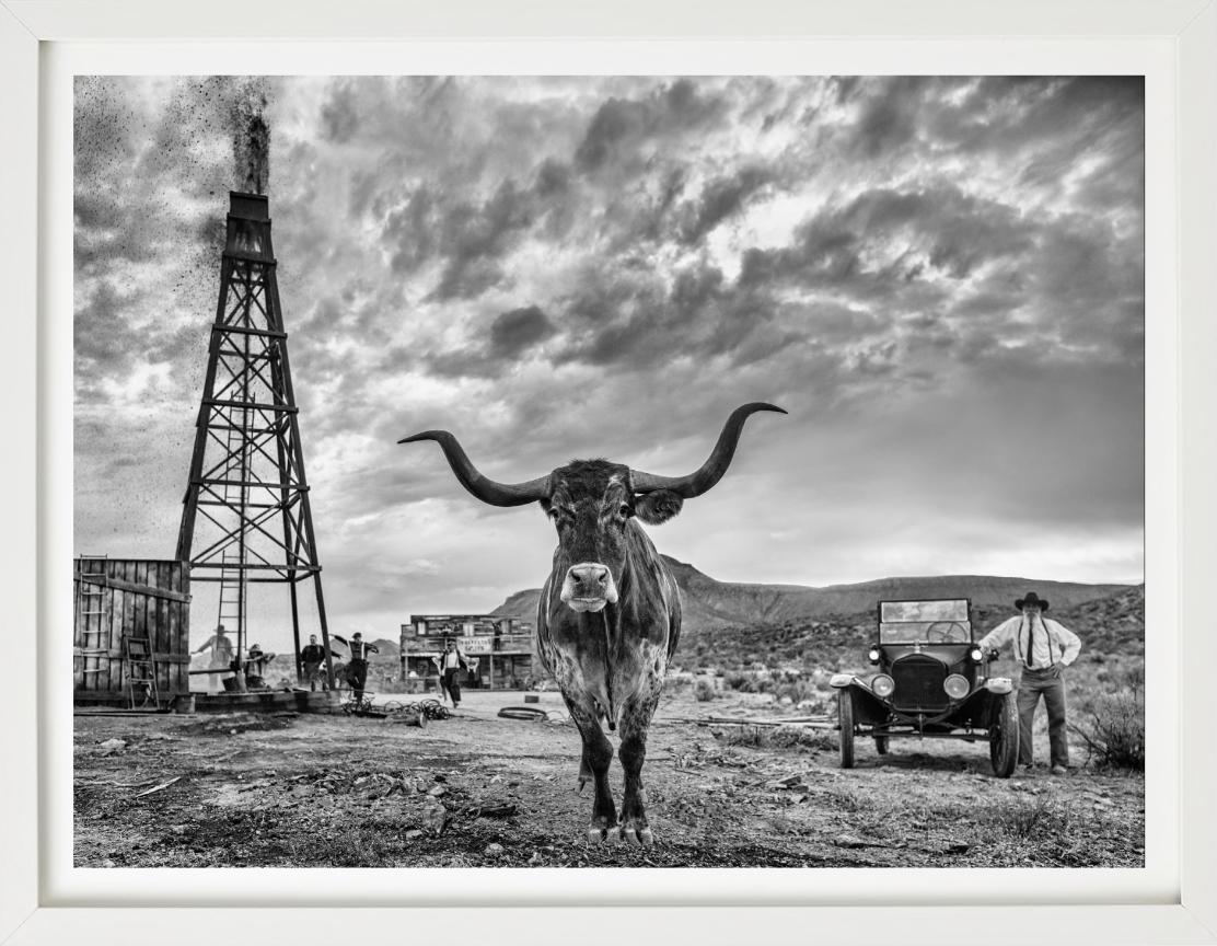 All prints are limited edition. Available in multiple sizes. High-end framing on request.


All prints are done and signed by the artist. The collector receives an additional certificate of authenticity from the gallery.


David Yarrow is a British