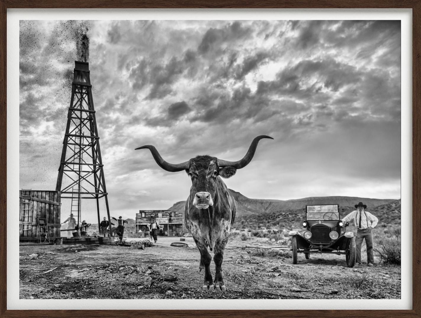 'Texas' - Cow in front of an old Oil derrick, fine art photography, 2023 For Sale 1