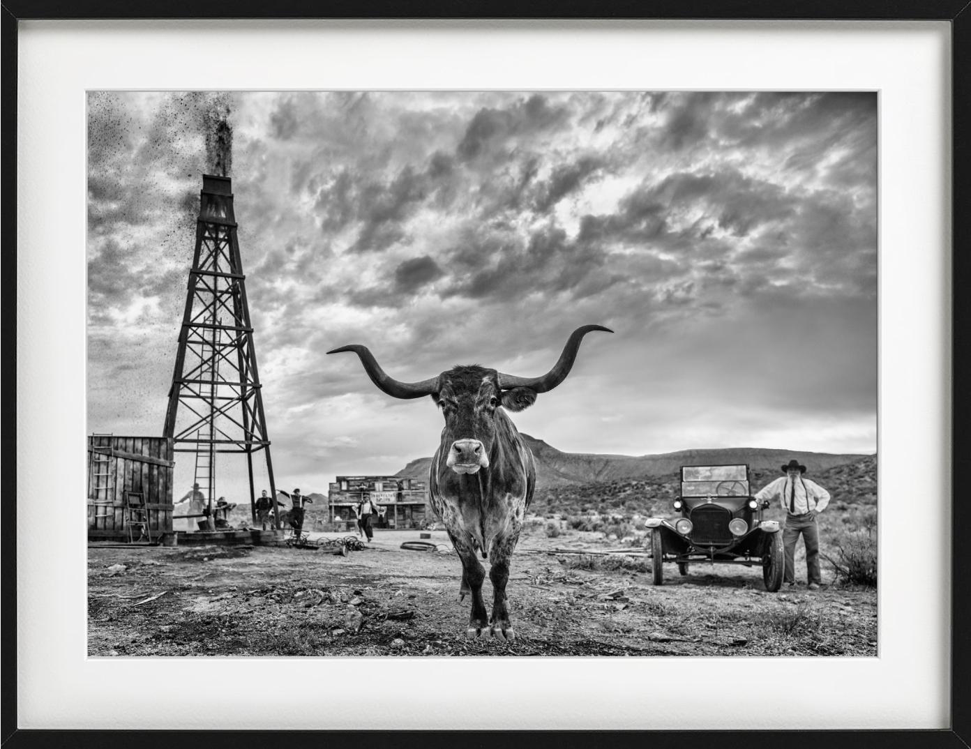 'Texas' - Cow in front of an old Oil derrick, fine art photography, 2023 For Sale 3