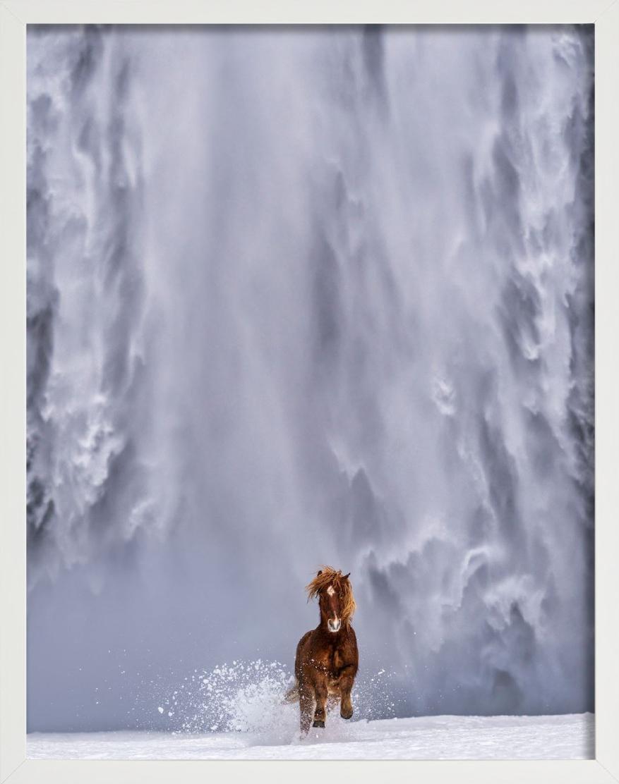 The Big Chill - Icelandic Horse and Waterfall, fine art photography, 2024 - Photograph by David Yarrow