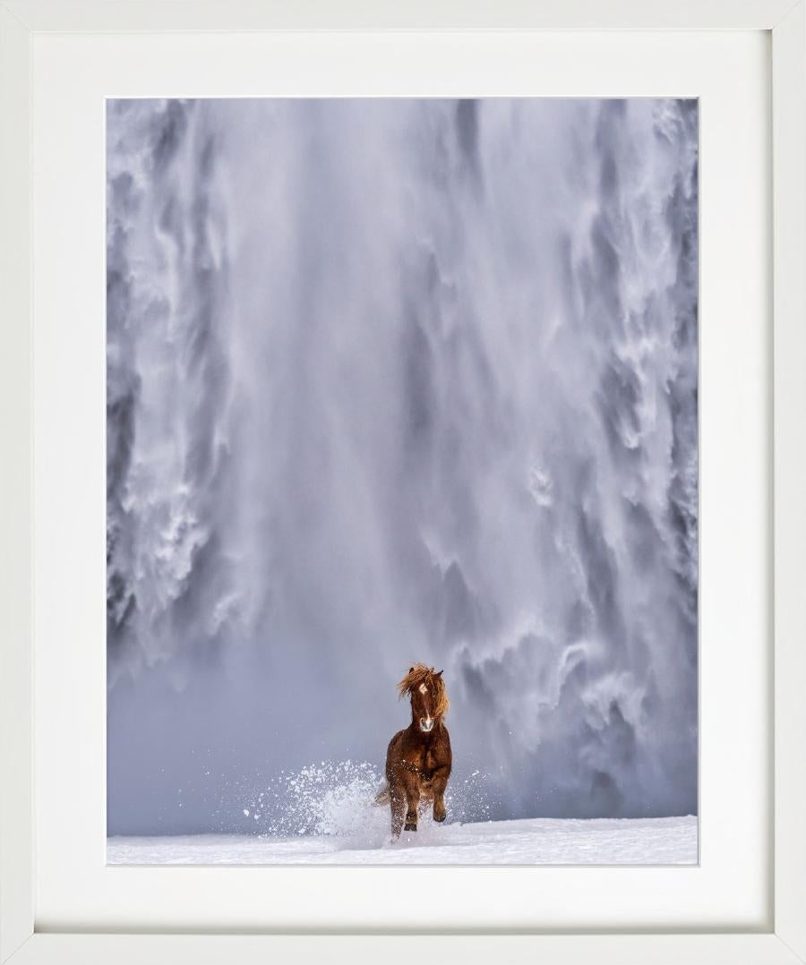 The Big Chill - Icelandic Horse and Waterfall, fine art photography, 2024 - Contemporary Photograph by David Yarrow