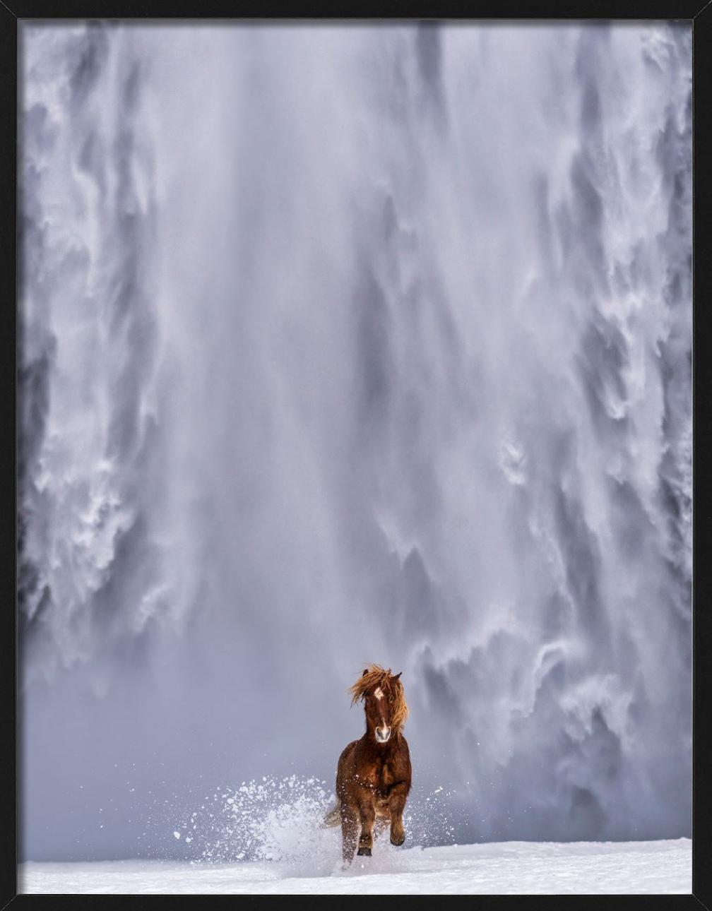 The Big Chill - Icelandic Horse and Waterfall, fine art photography, 2024 For Sale 1