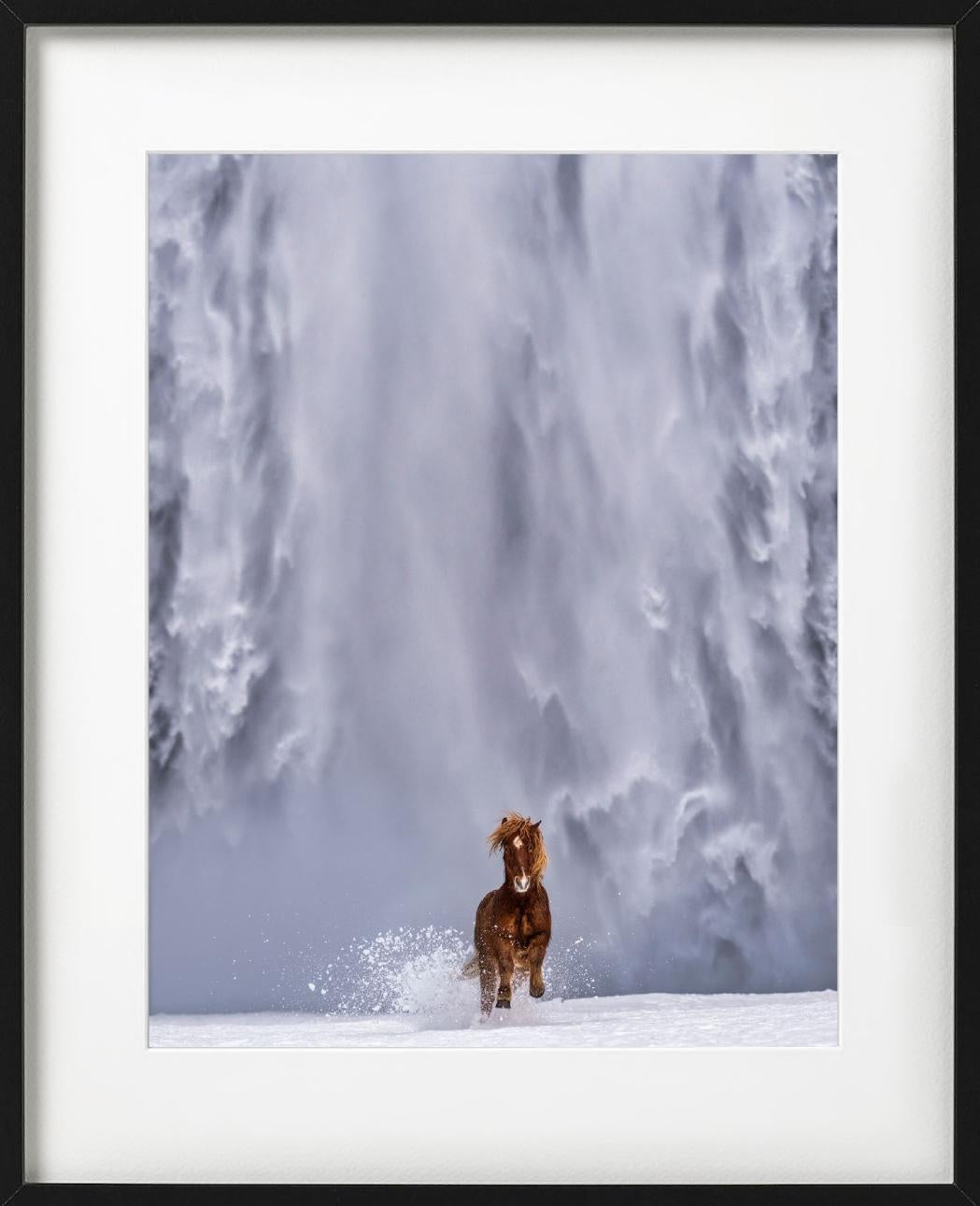 The Big Chill - Icelandic Horse and Waterfall, fine art photography, 2024 For Sale 3