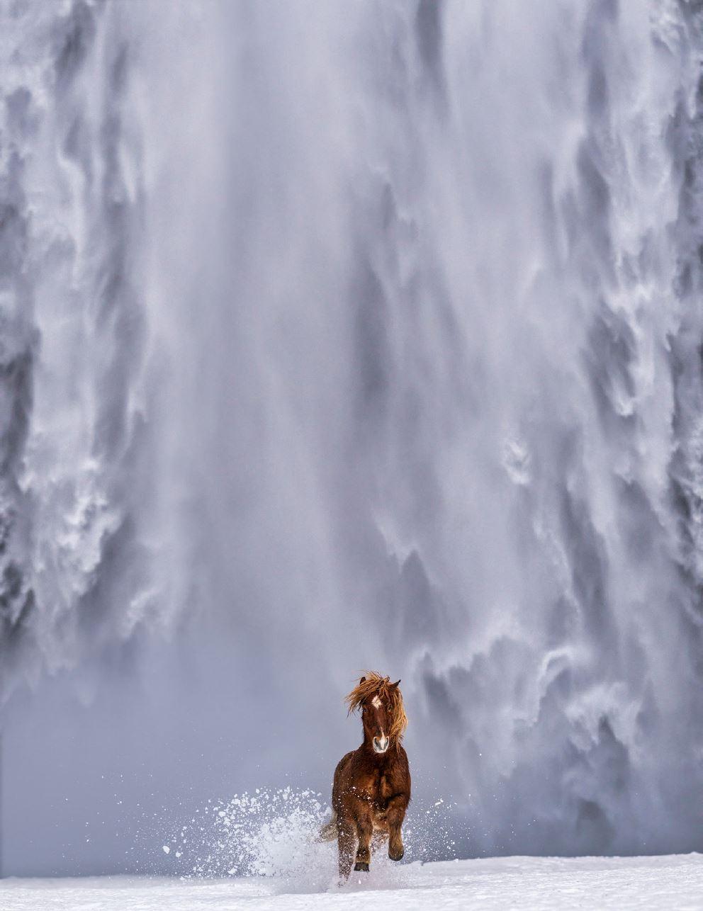 David Yarrow Color Photograph - The Big Chill - Icelandic Horse and Waterfall, fine art photography, 2024