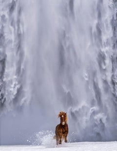 The Big Chill - Icelandic Horse and Waterfall, fine art photography, 2024