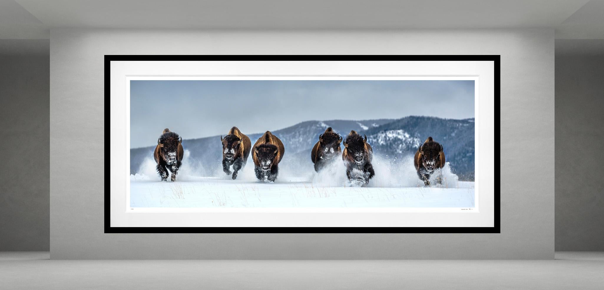 The Bills (Color) by David Yarrow - Montana For Sale 1