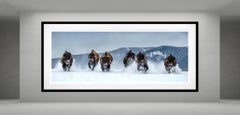 The Bills (Color) by David Yarrow - Montana
