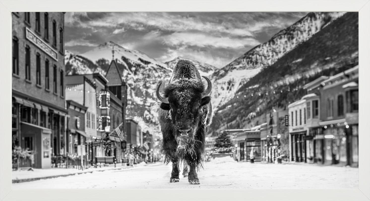 'The Bison on Main' - Bison on a snowy village road, fine art photography, 2023 - Gray Black and White Photograph by David Yarrow