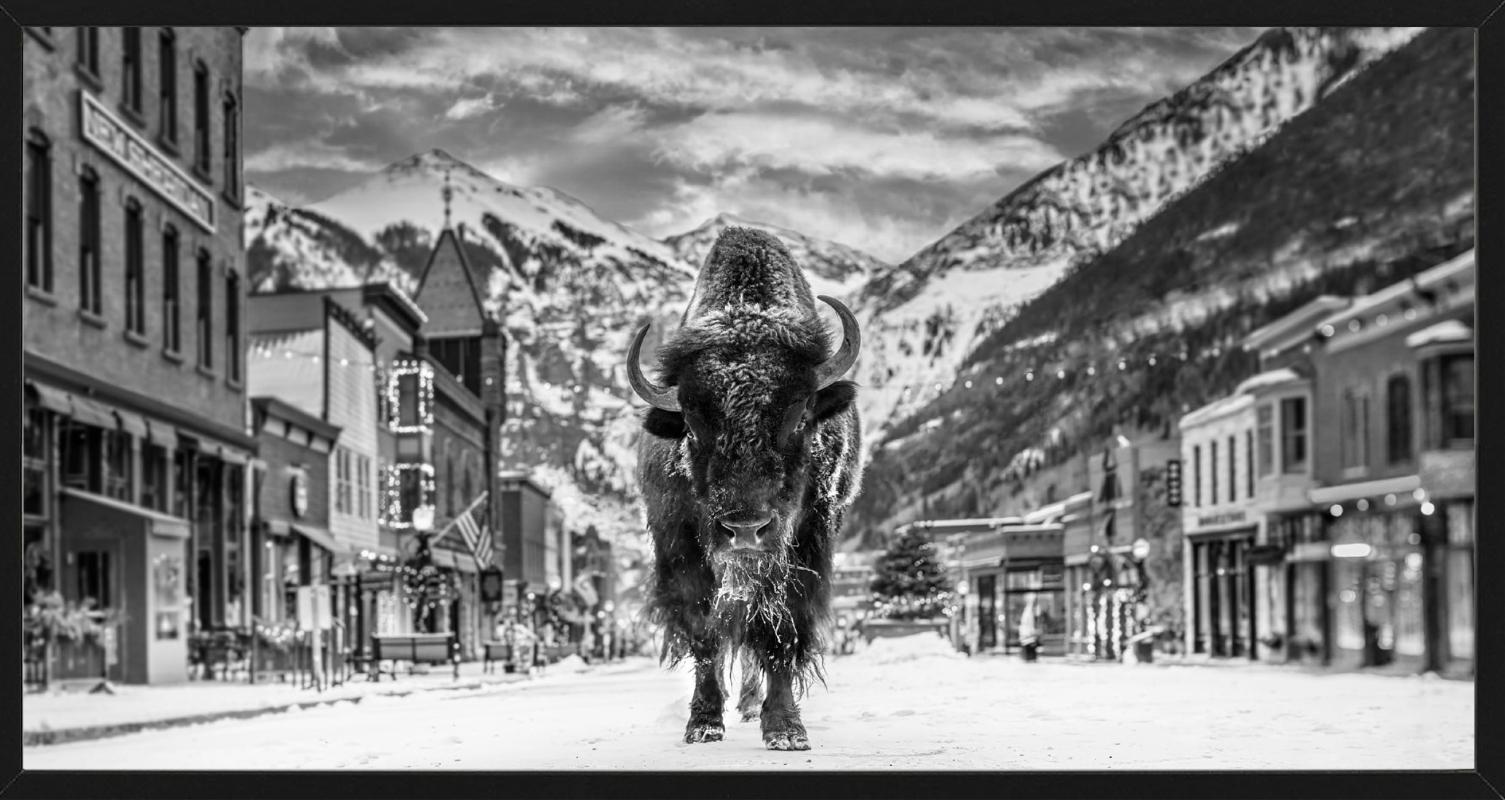 'The Bison on Main' - Bison on a snowy village road, fine art photography, 2023 For Sale 1