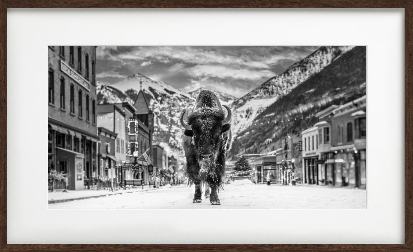 'The Bison on Main' - Bison on a snowy village road, fine art photography, 2023 For Sale 3