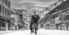 The Bison on Main II by David Yarrow - Telluride, Colorado