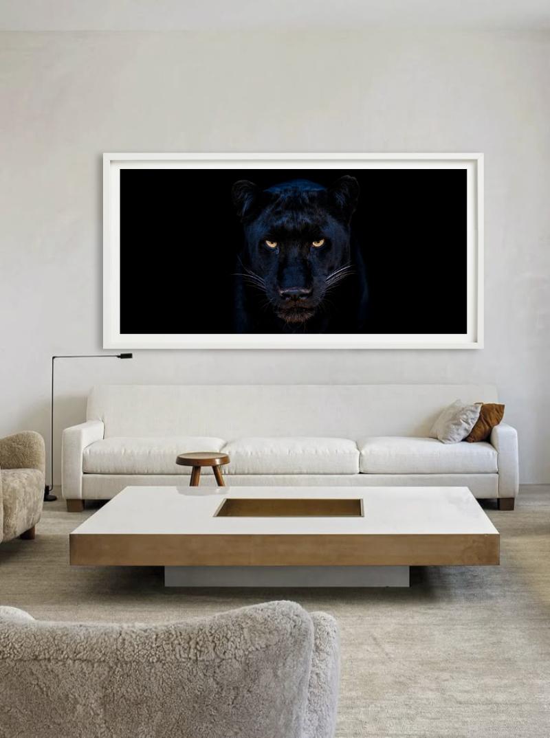 The Black Panther - Close Up Of A Panther, Fine Art Photography, 2025 For Sale 1
