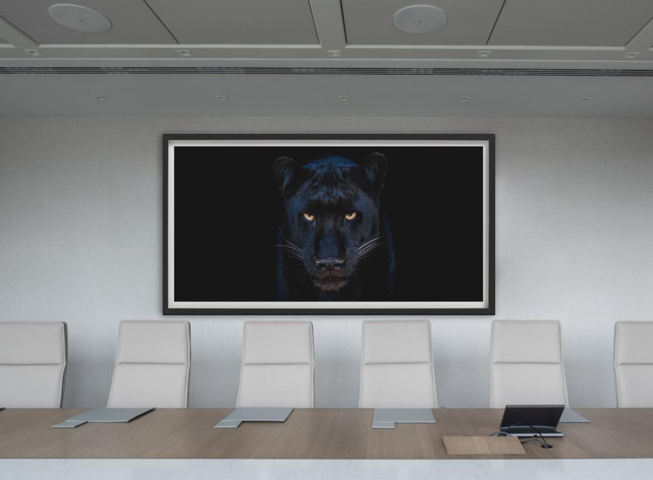 The Black Panther - Close Up Of A Panther, Fine Art Photography, 2025 For Sale 4