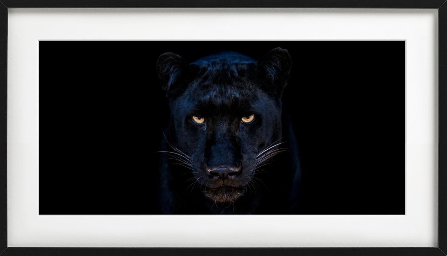 The Black Panther - Close Up Of A Panther, Fine Art Photography, 2025 For Sale 7