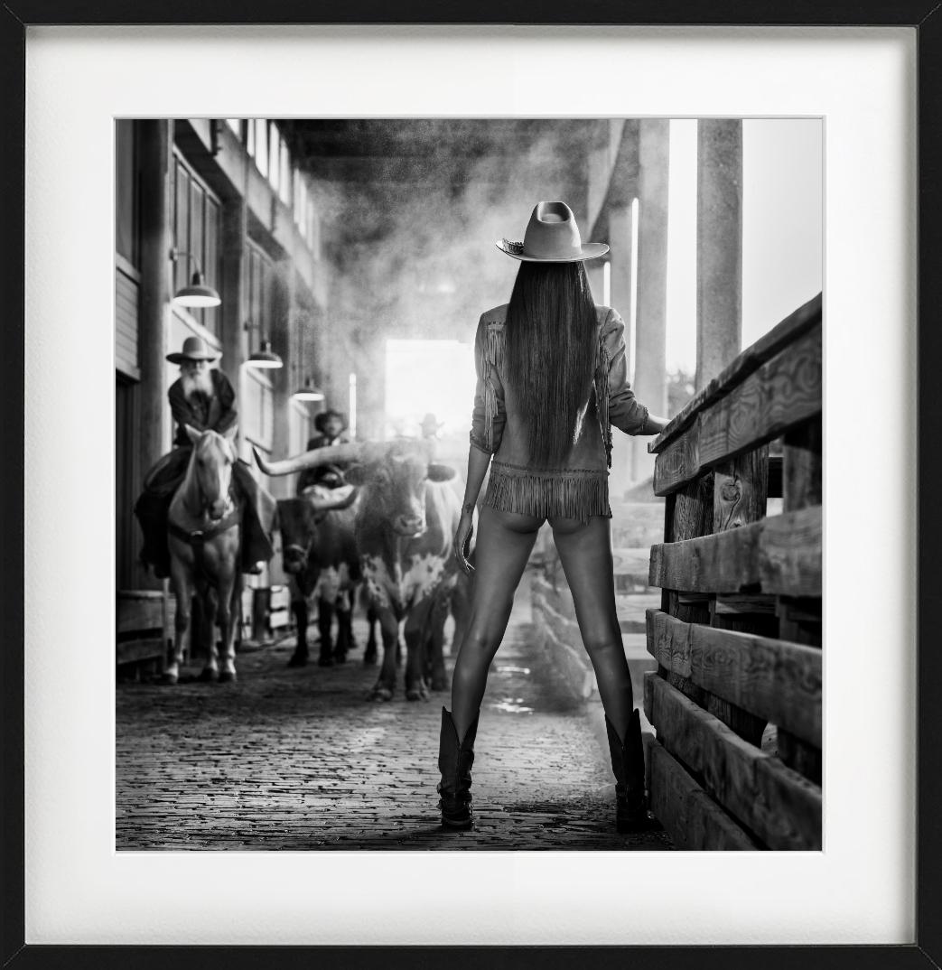 The Cow Whisperer, Kunstfotografie 2024 im Angebot 2