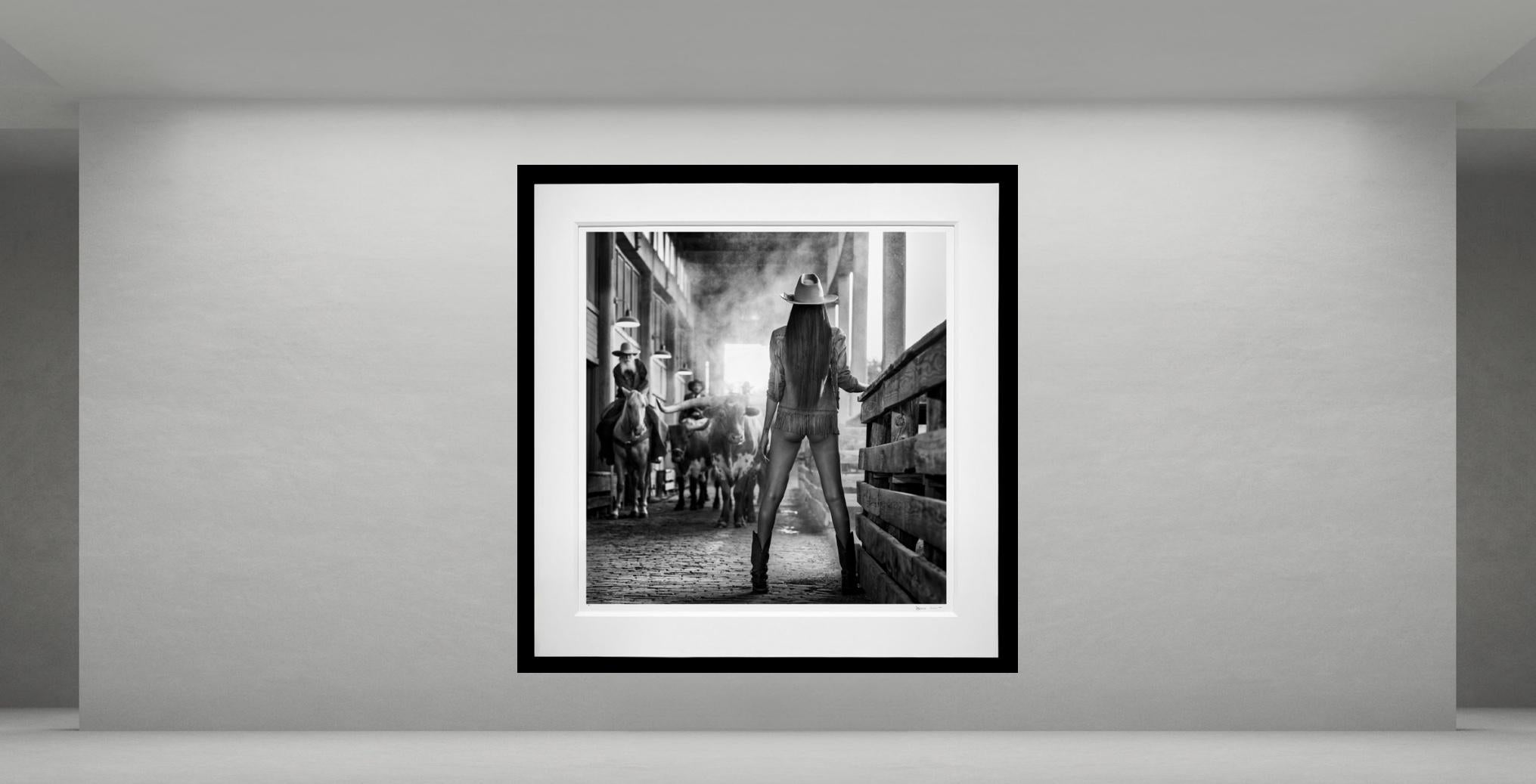 L'uomo che sussurrava alle mucche, Texas di David Yarrow in vendita 1