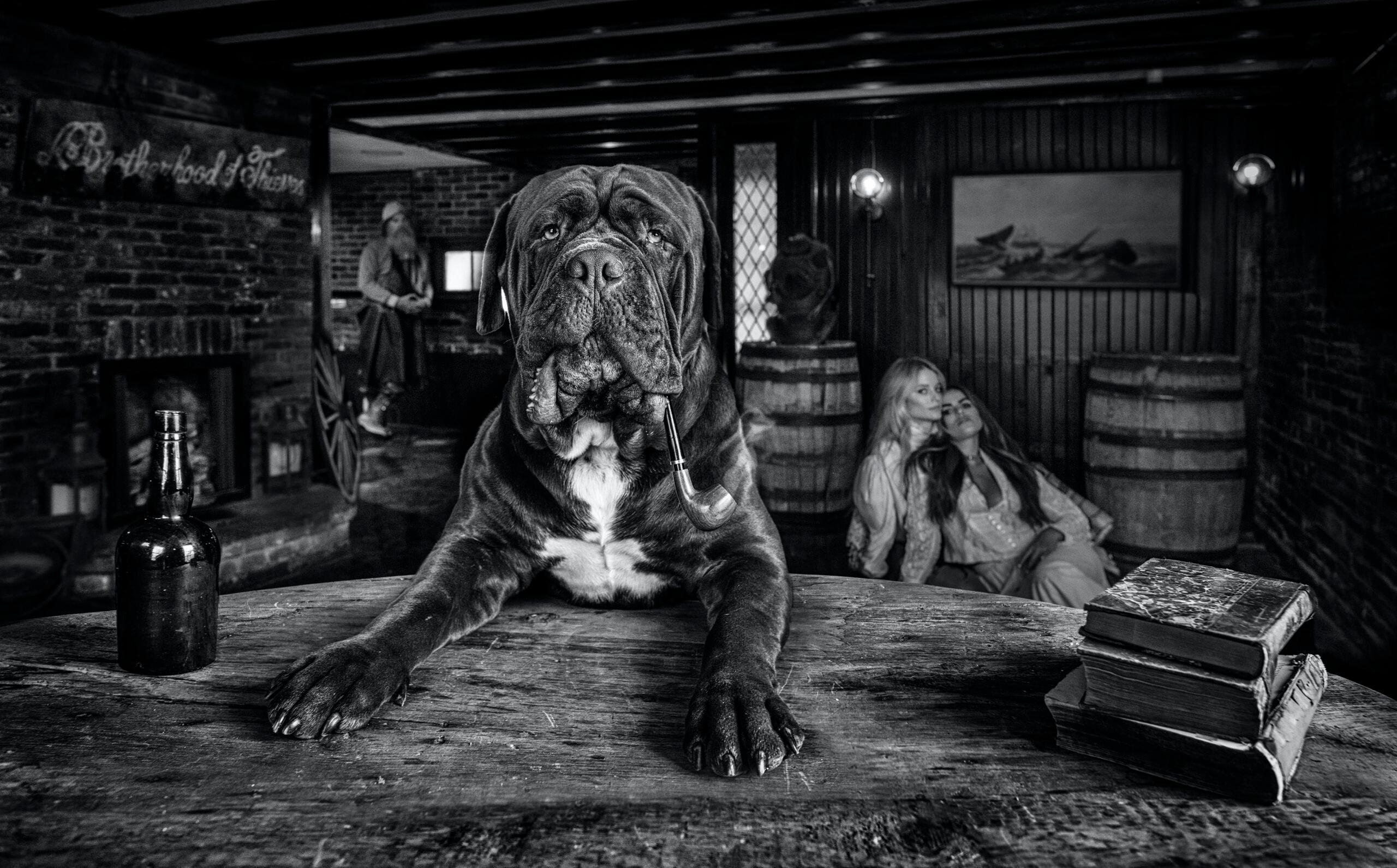 David Yarrow Black and White Photograph - The Dogfather 