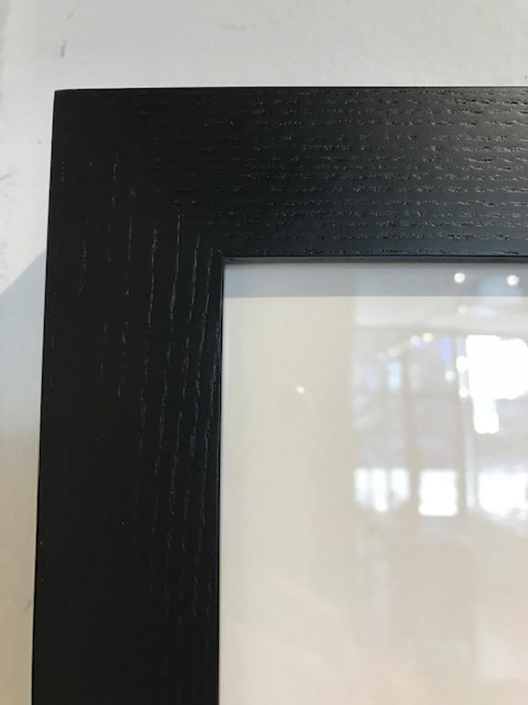 I cani di Palm Beach in vendita 1