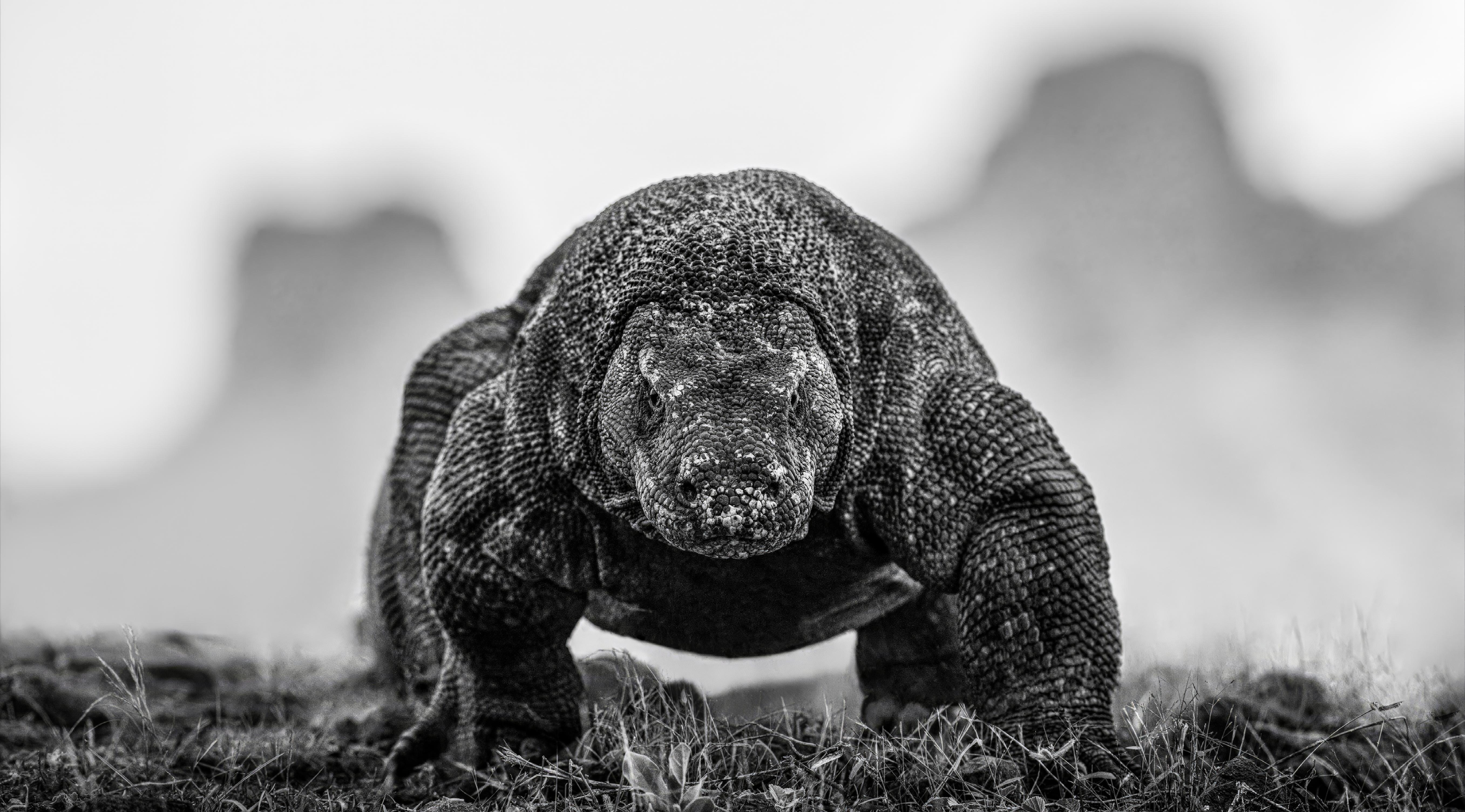Black and White Photograph de David Yarrow - La Guarida del Dragón