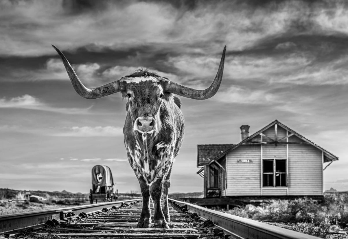 David Yarrow Black and White Photograph - The End of The Line