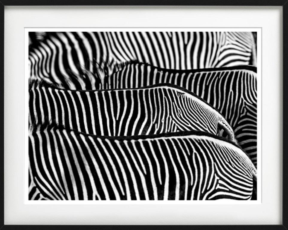 All prints are limited edition. High-end framing on request.

All prints are done and signed by the artist. The collector receives an additional certificate of authenticity from the gallery.

David Yarrow is a British fine art photographer and one