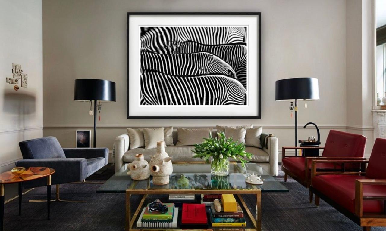 The Factory - fine art photography wildlife of zebras, abstract line pattern For Sale 2