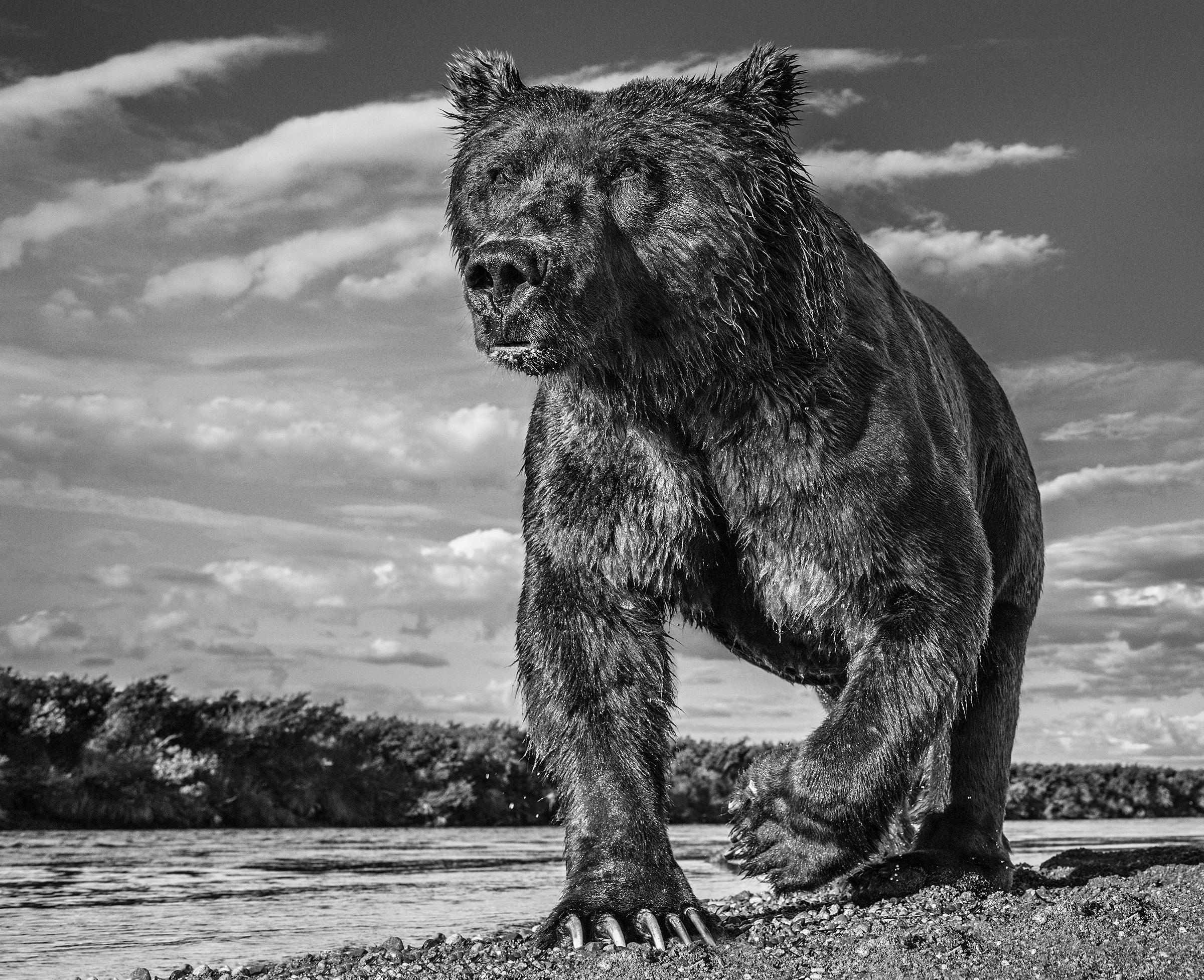 David Yarrow Black and White Photograph - The Fisher King