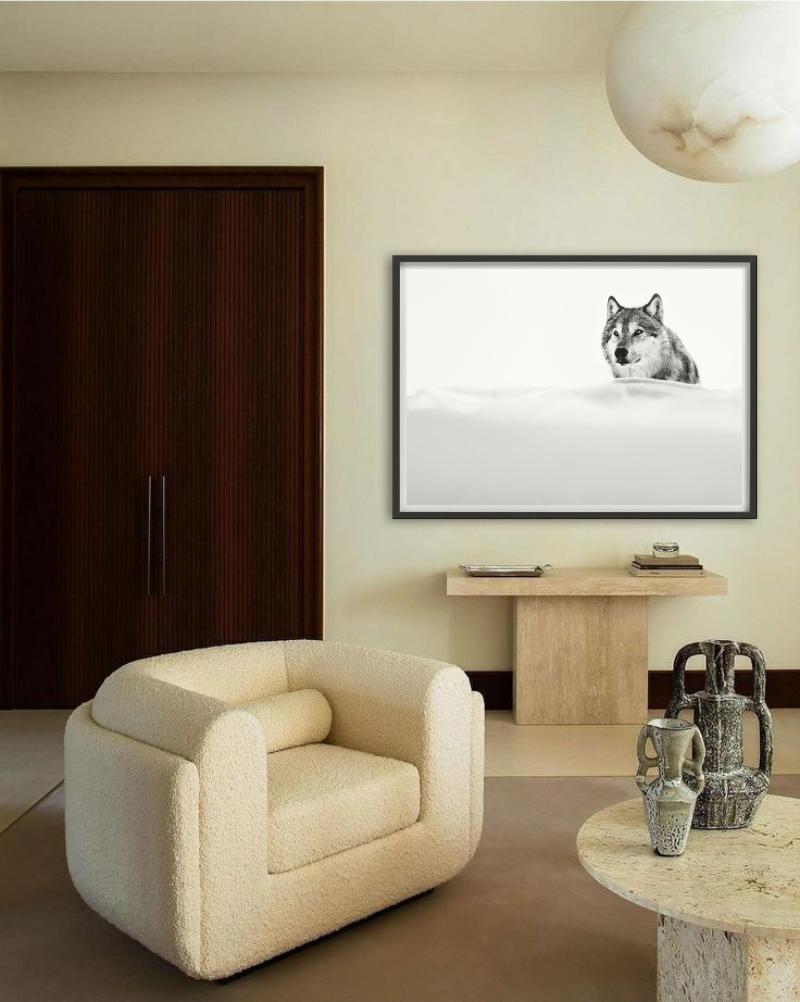 The Focused Wolf, Wolf in the snow, Black and white, Fine Art Photography For Sale 8