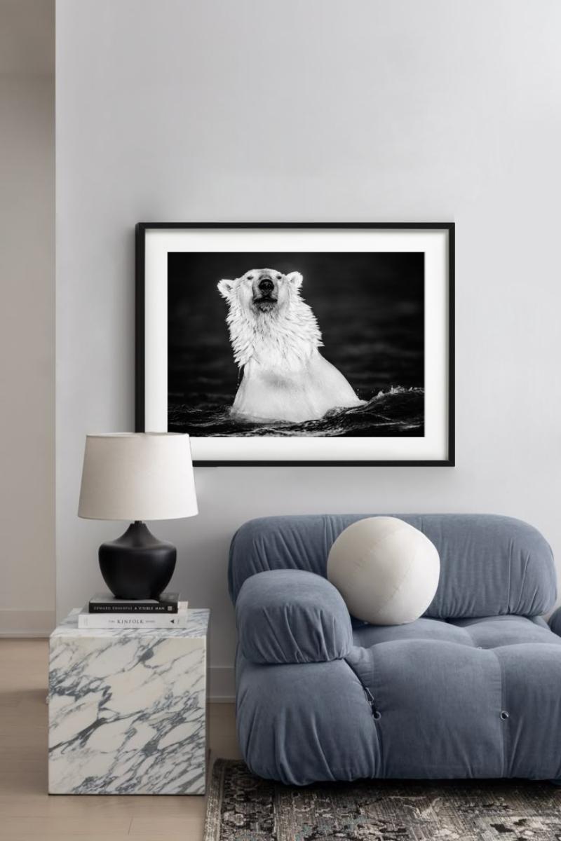Le manteau de fourrure - Up&Up d'un ours polaire qui se baigne, photographie d'art, 2018. - Photograph de David Yarrow