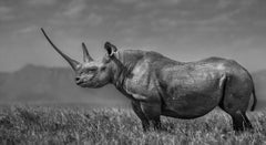 La chica de la colina, Kenia, de David Yarrow - Fotografía contemporánea de la fauna salvaje