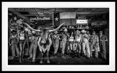 The Horned Frogs (B&W) by David Yarrow - New Release - Texas Longhorn