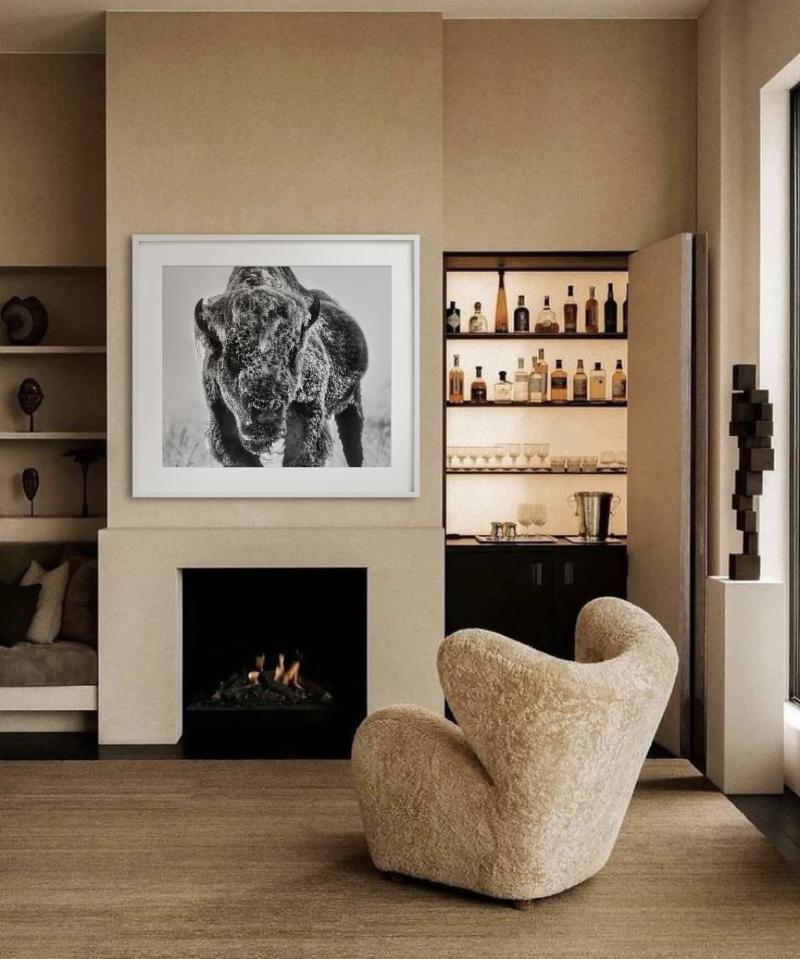 The Ice Monster – Bison in a Snow Storm, Kunstfotografie, 2025 im Angebot 1