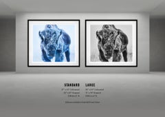 The Ice Monster (Colour) by David Yarrow - Bison - Yellowstone National Park