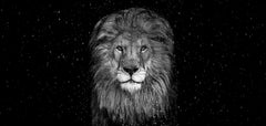 Black and White Photography