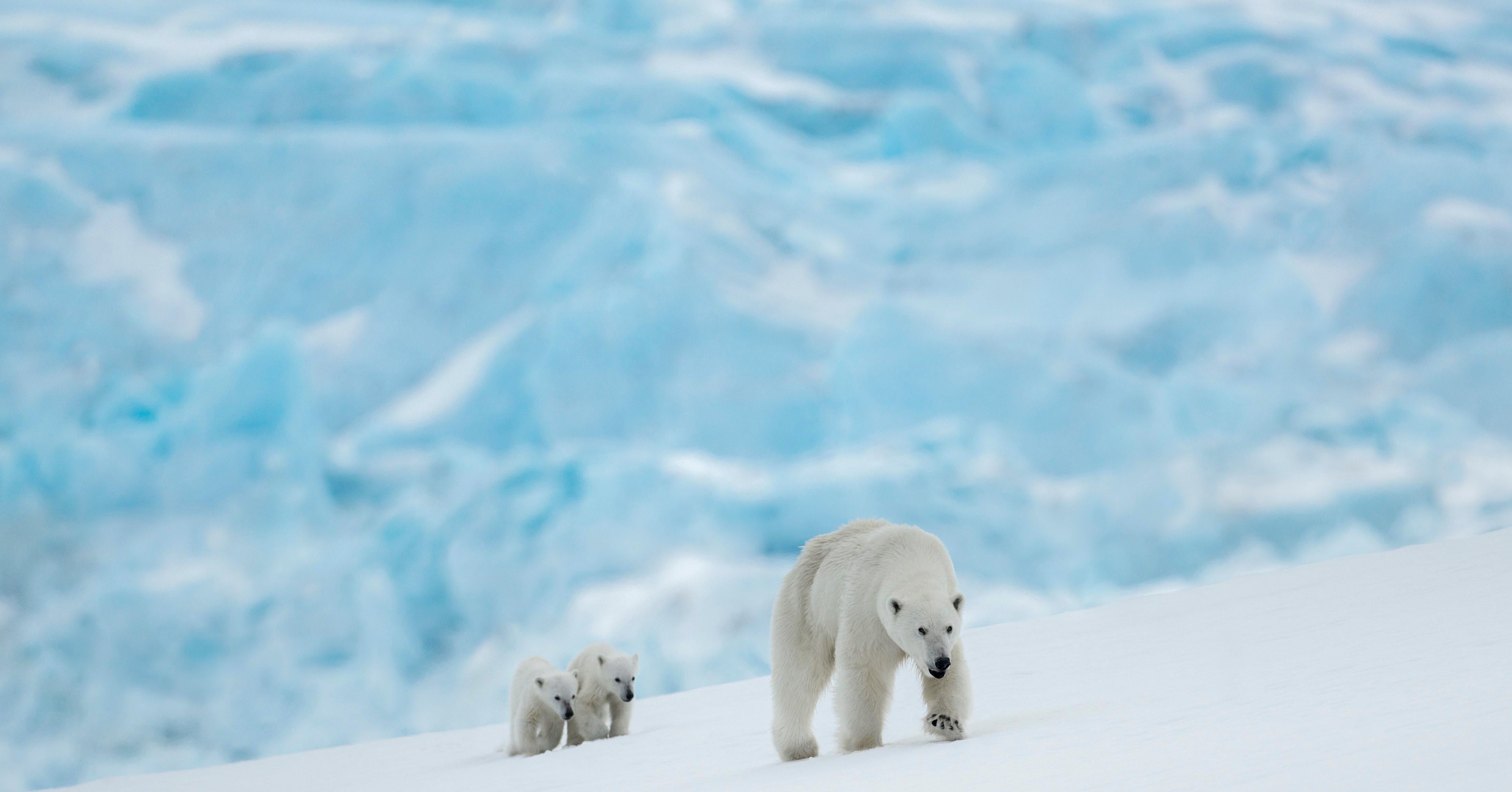 David Yarrow Color Photograph - The New Kids On The Block 