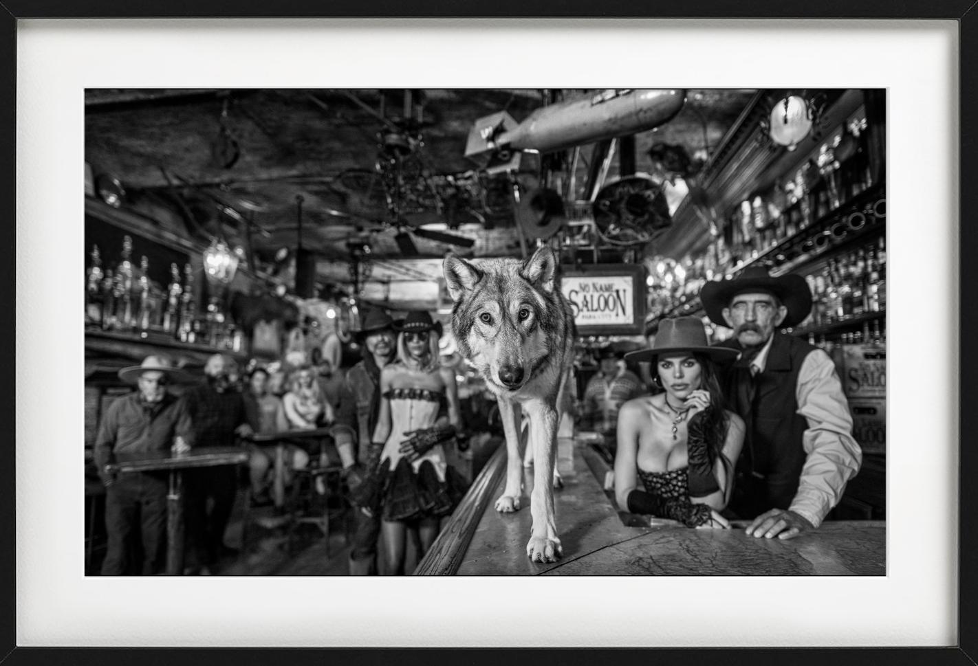 'The No Name Saloon' - Wolf on a Bar, fine art photography, 2023 - Contemporary Photograph by David Yarrow