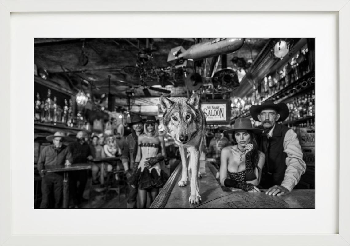'The No Name Saloon' - Wolf on a Bar, fine art photography, 2023 For Sale 1