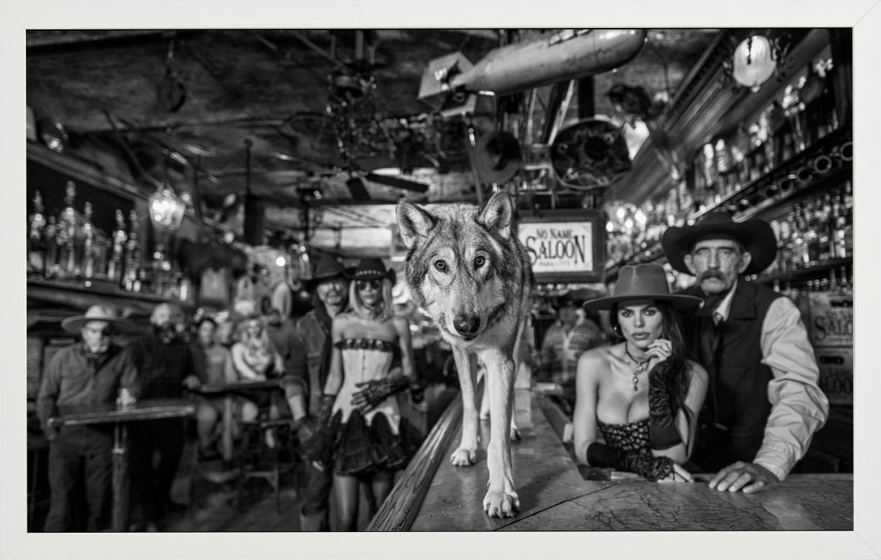 'The No Name Saloon' - Wolf on a Bar, fine art photography, 2023 For Sale 2